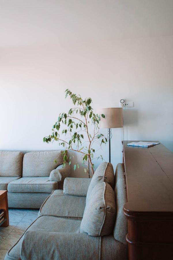 Arca Nova Guest House - Каминя Екстериор снимка